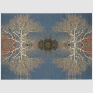 Papel De Seda árvore nu céu escuro original