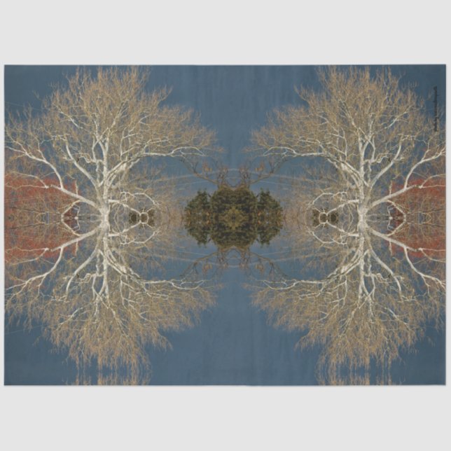 Papel De Seda árvore nu céu escuro original (Frente )