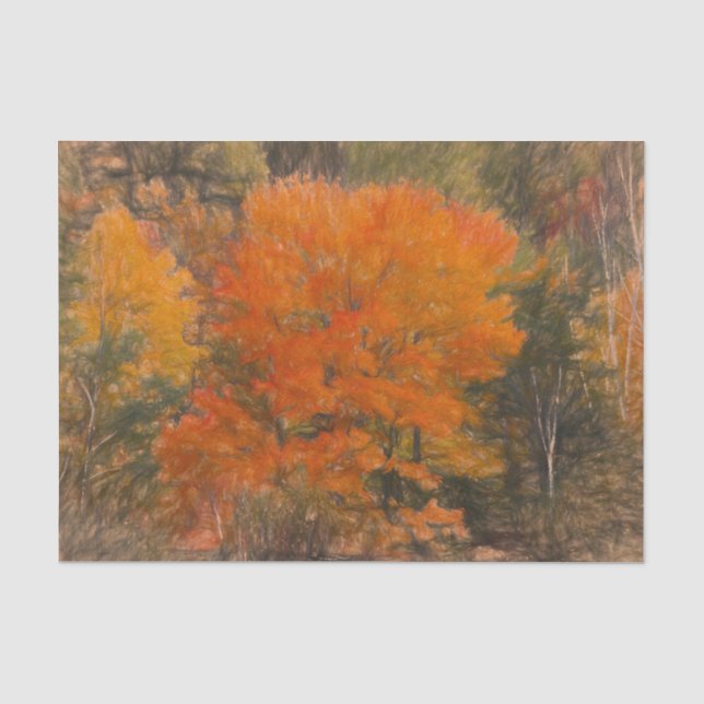 Papel De Seda Árvores Caem Floresta de Madeira Laranja Esboço Ar (Frente )