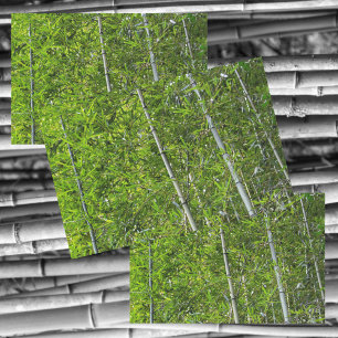 Papel De Seda Árvores de Bambu Verde Cultivam Fotografia Natural