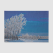 Árvores de Floresta de Inverno Neve Céu Azul Natur
