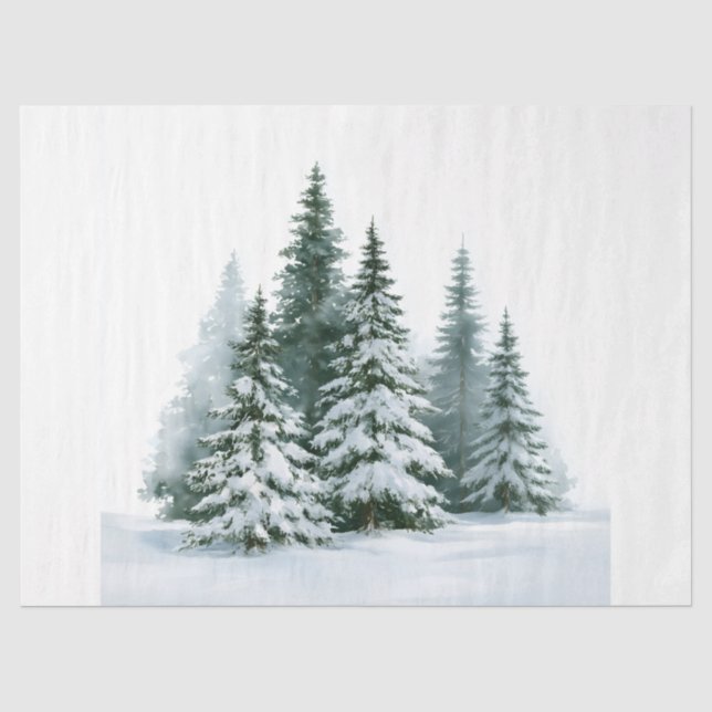 Papel De Seda Árvores de Pinheiro no Inverno (Frente )