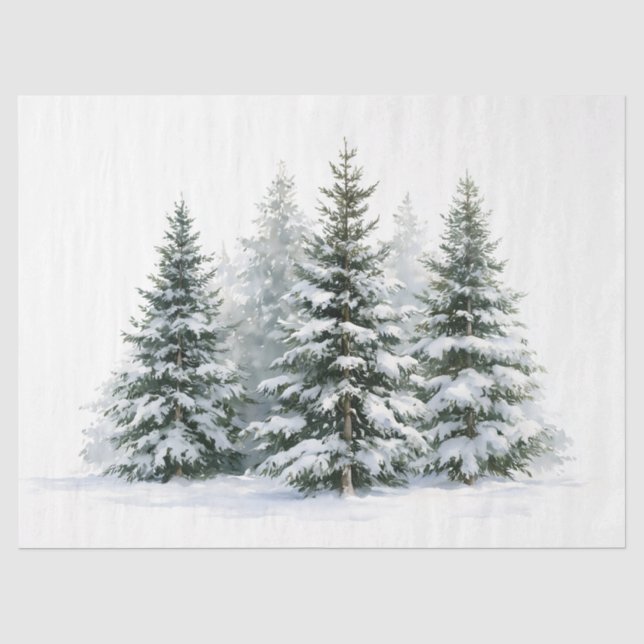 Papel De Seda Árvores de Pinheiro no Inverno (Frente )