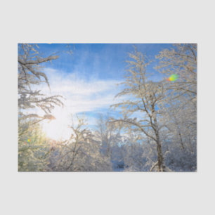 Papel De Seda Árvores Inverno Neve Coberta Céu Azul Nuvens Paisa