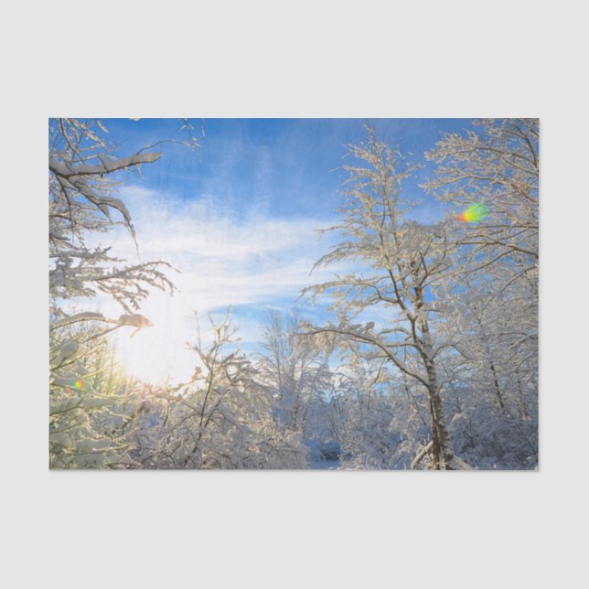 Papel De Seda Árvores Inverno Neve Coberta Céu Azul Nuvens Paisa (Frente )