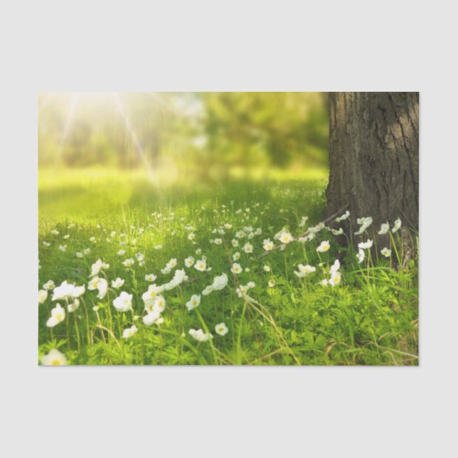 Papel De Seda As alegrias da Primavera (Frente )