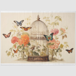 Papel De Seda Asas Graciosas: Decoupage da Birdcage