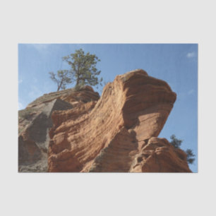 Papel De Seda Até Angels Landing no Parque Nacional de Zion