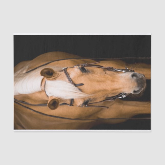 Papel De Seda Atordoamento do cavalo palomino (Frente )