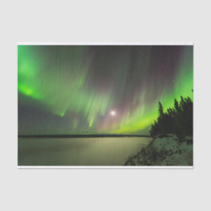Papel De Seda Aurora majestosa
