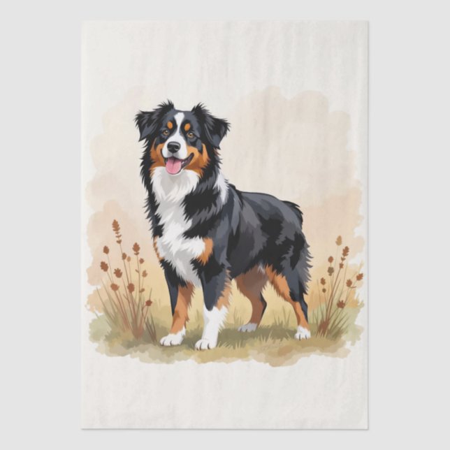 Papel De Seda Australian Shepherd Black Tricolor Aussie Dog (Frente )