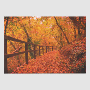 Papel De Seda Autumn Fall Modern Gift Wrap Deixa Laranja