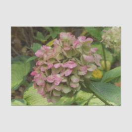 Papel De Seda Autumn Hydrangea Bloom com Ouro Hosta Leaves