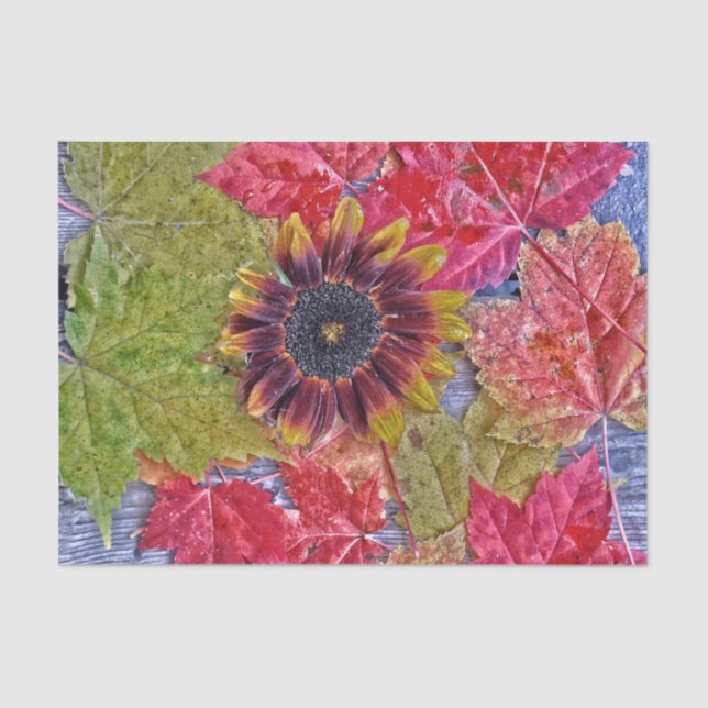 Papel De Seda Autumn Sunflower Red Yellow Mapeador Deixa Madeira (Frente )