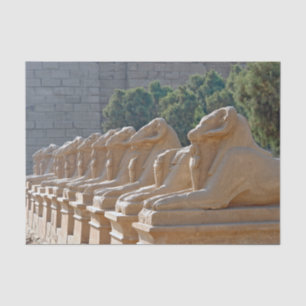 Papel De Seda Avenida de Esfinges no Templo de Karnak - Egito
