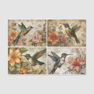 Papel De Seda Aves