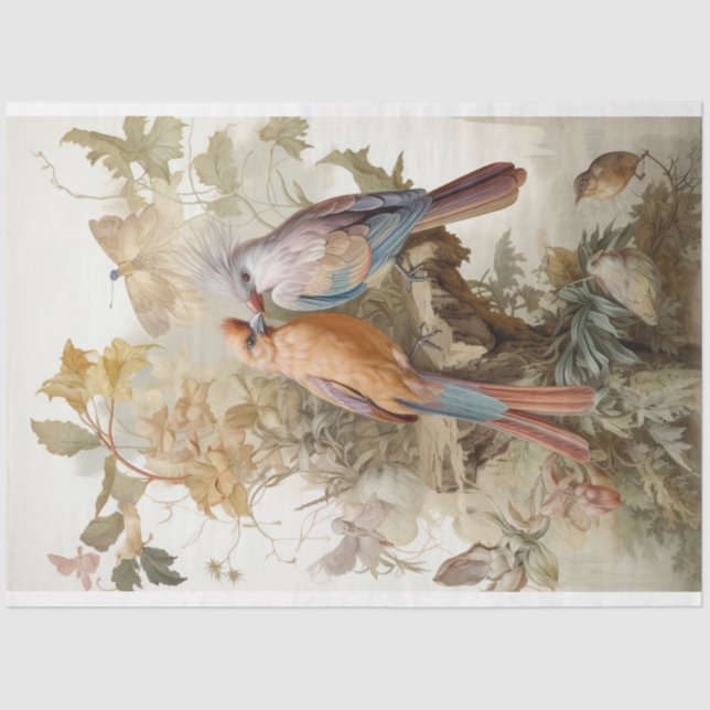 Papel De Seda Aves com penas longas (Frente )