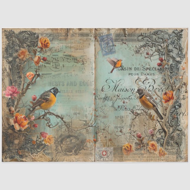 Papel De Seda Aves de Diário e Ovos de Lixo (Frente )