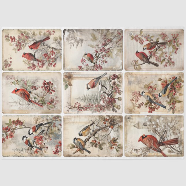 Papel De Seda Aves de inverno: 9 (Frente )