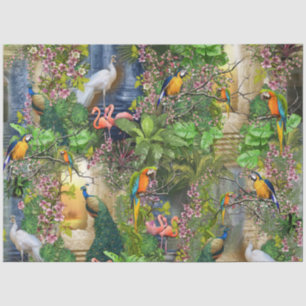 Papel De Seda Aves do Paraíso