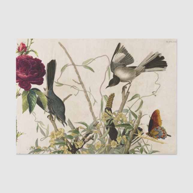 PAPEL DE SEDA AVES E ROSA (Frente )