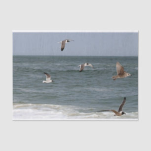 Papel De Seda Aves em Voo por Shirley Taylor