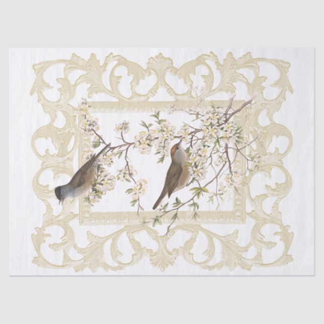 Papel De Seda Aves na Flowering Branch Ornamentado Ivory Frame (Frente )