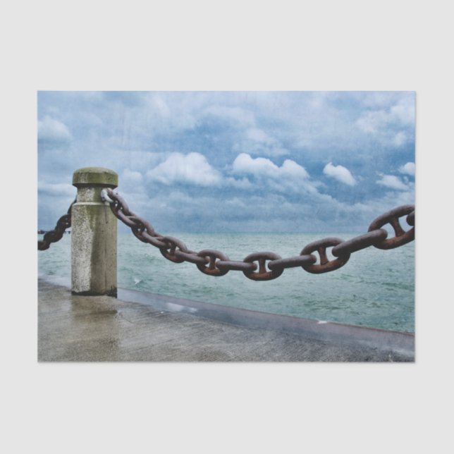 Papel De Seda Azul náutico da parte dianteira da praia do verão (Frente )