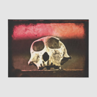 Papel De Seda Baboon Skull Sunset