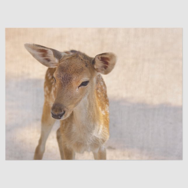 Papel De Seda Baby Deer (Frente )