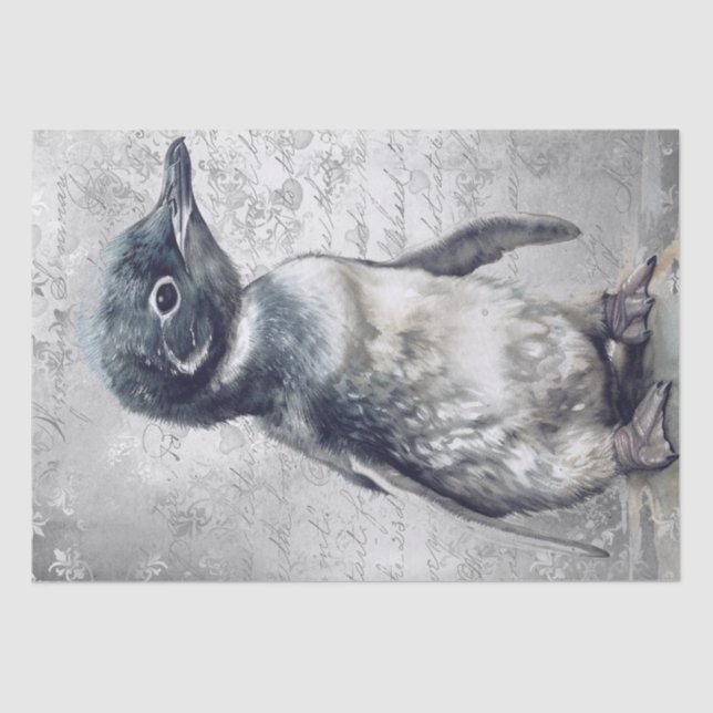 Papel De Seda Baby Penguin (Frente )