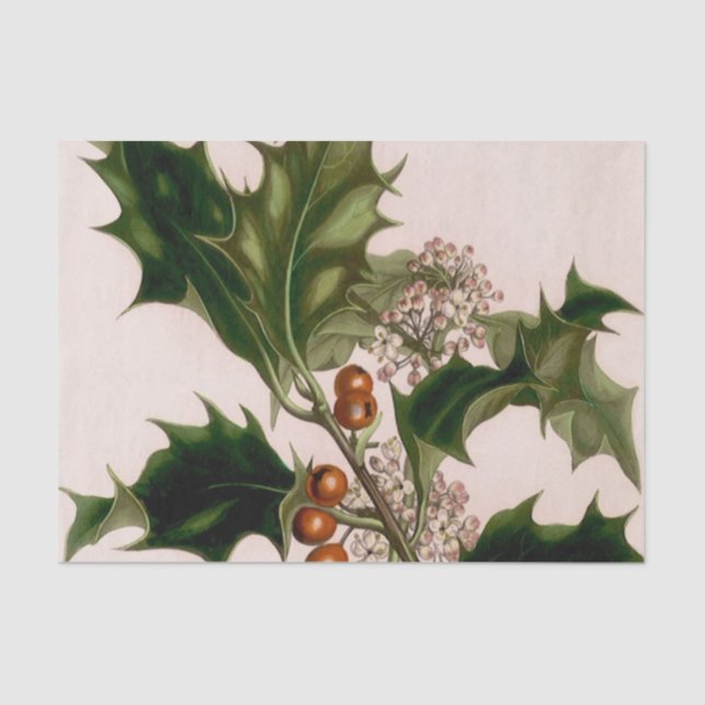 Papel De Seda bagas do azevinho (Frente )