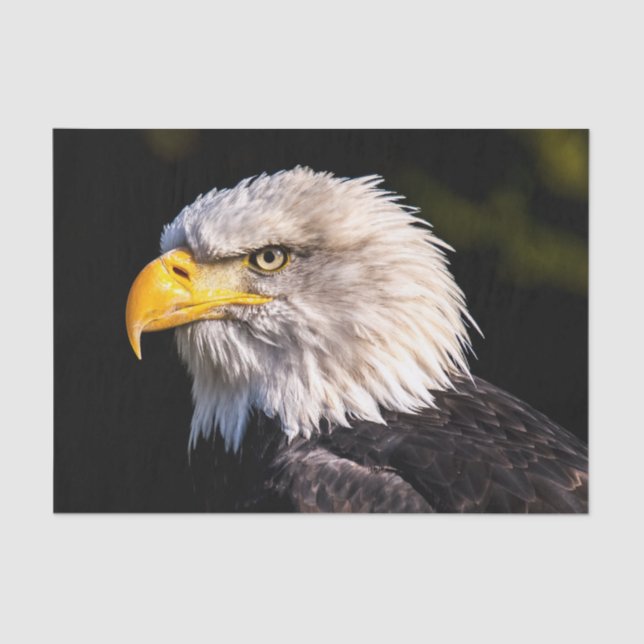 Papel De Seda Bald Eagle (Frente )