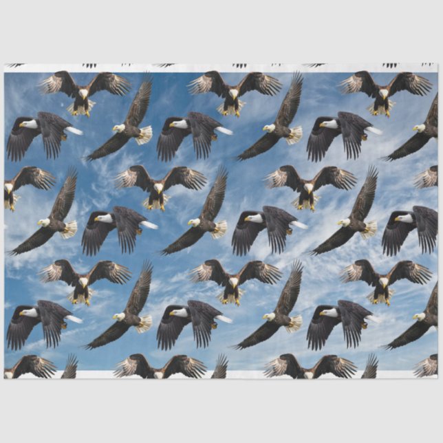 Papel De Seda Bald Eagle Soaring (Frente )