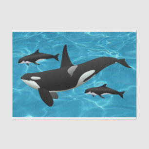 Papel De Seda Baleias Orca