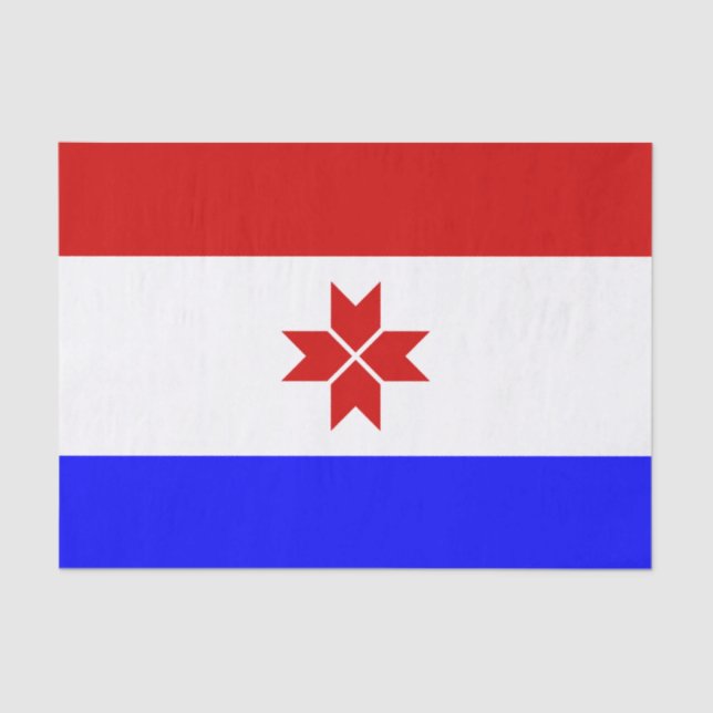 Papel De Seda Bandeira da Mordóvia (Frente )