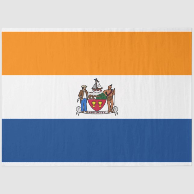 Papel De Seda Bandeira de Albany (Nova Iorque) (Frente )