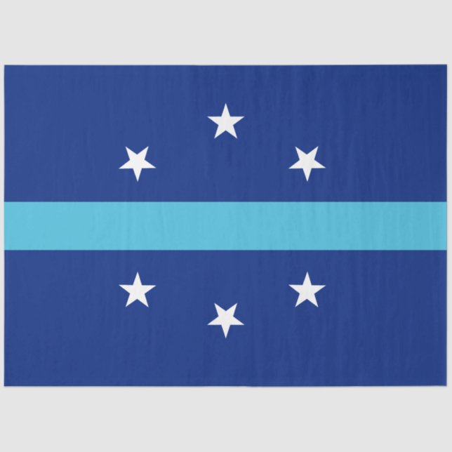 Papel De Seda Bandeira de Anaheim (Califórnia, EUA) (Frente )