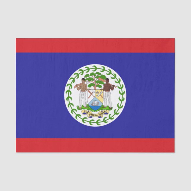 Papel De Seda Bandeira de Belize (Frente )