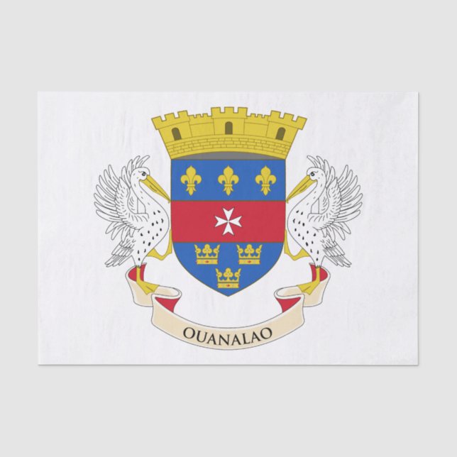 Papel De Seda Bandeira de São Bartolomeu (Frente )
