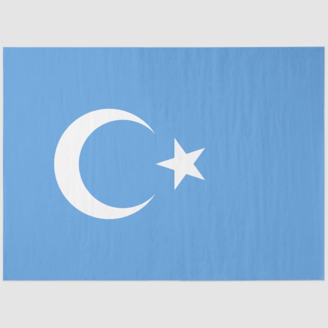 Papel De Seda Bandeira do Uigur do Turquestão Oriental (Uyghuris (Frente )