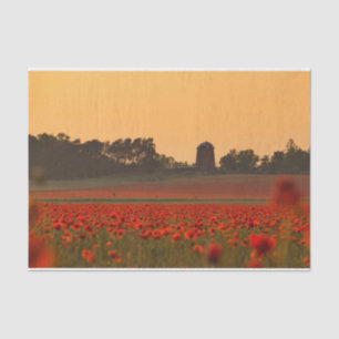 Papel De Seda Banho Sunset uma Fazenda Vermelha Poppy