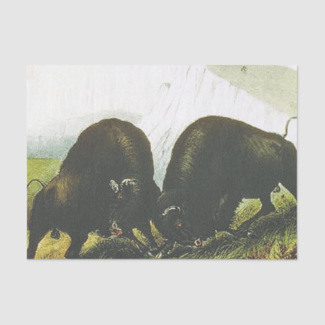 Papel De Seda Batalha da pradaria do T (Frente )