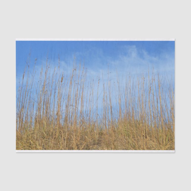 Papel De Seda Beach Grass por Shirley Taylor (Frente )