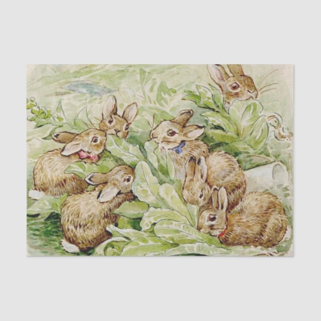 Papel De Seda Beatrix Potter Tale dos Bunnies Inchados (Frente )