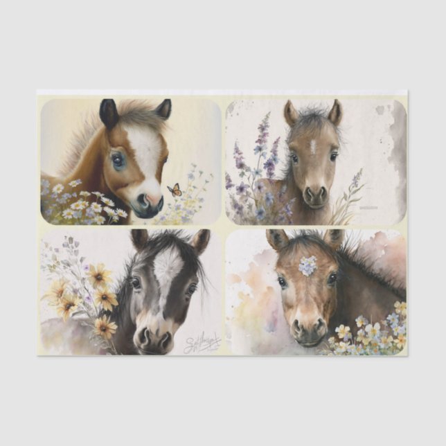 Papel De Seda Bebê Colts (Frente )