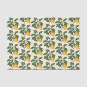 Papel De Seda Beige da Fruta de Limão Botânico Vintage