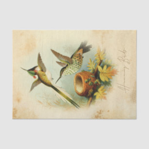 Papel De Seda Beija-flores Elegantes