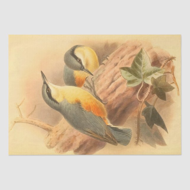 Papel De Seda Bela Decopagem da Vintagem de Aves Azuis (Frente )