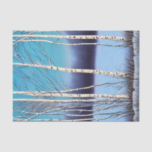 Papel De Seda Belo Berço de inverno